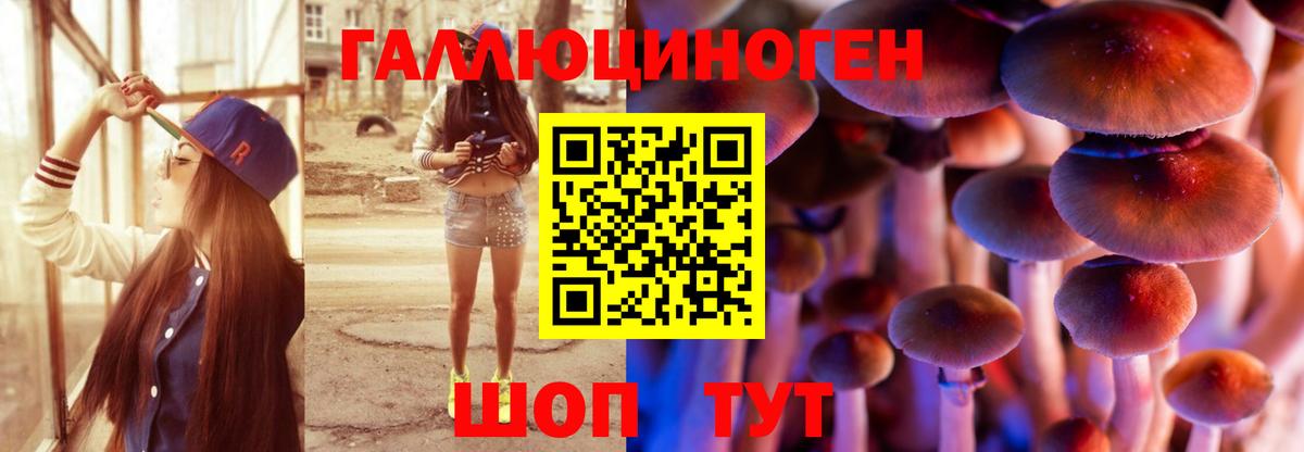 Псилоцибиновые грибы мухоморы Можайск